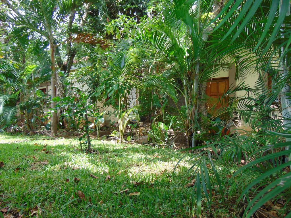 Managua Hills Hotel Kültér fotó